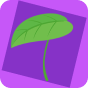 Cosmetic